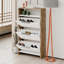 Shoe Storage Cabinet-1421717643