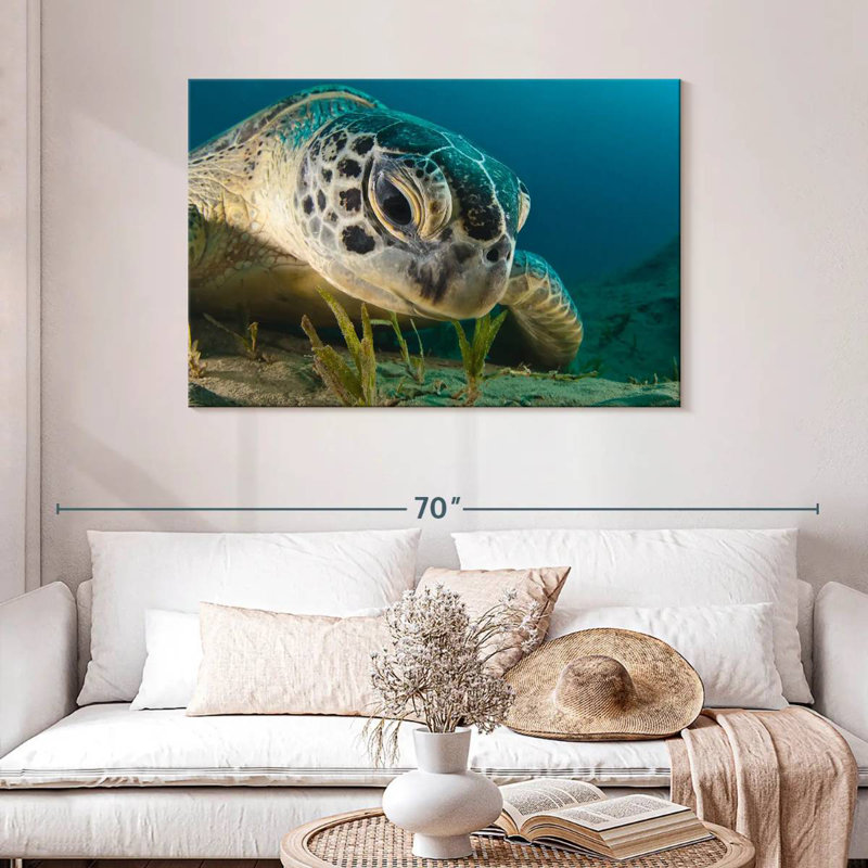 Brampt Sea Turtle Close Up, 30" H x 45" W