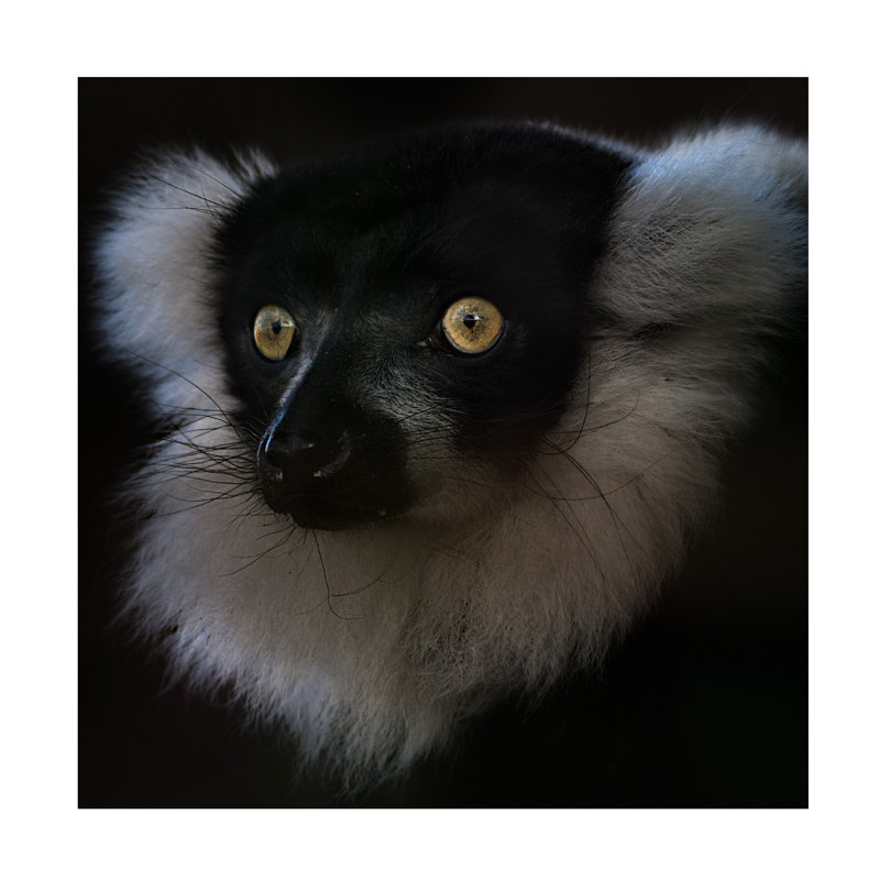Rubio Nathalie Vari Canvas Art, 14" H x 14" W