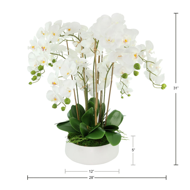 Orchid Arrangement in a Round Ceramic Vase