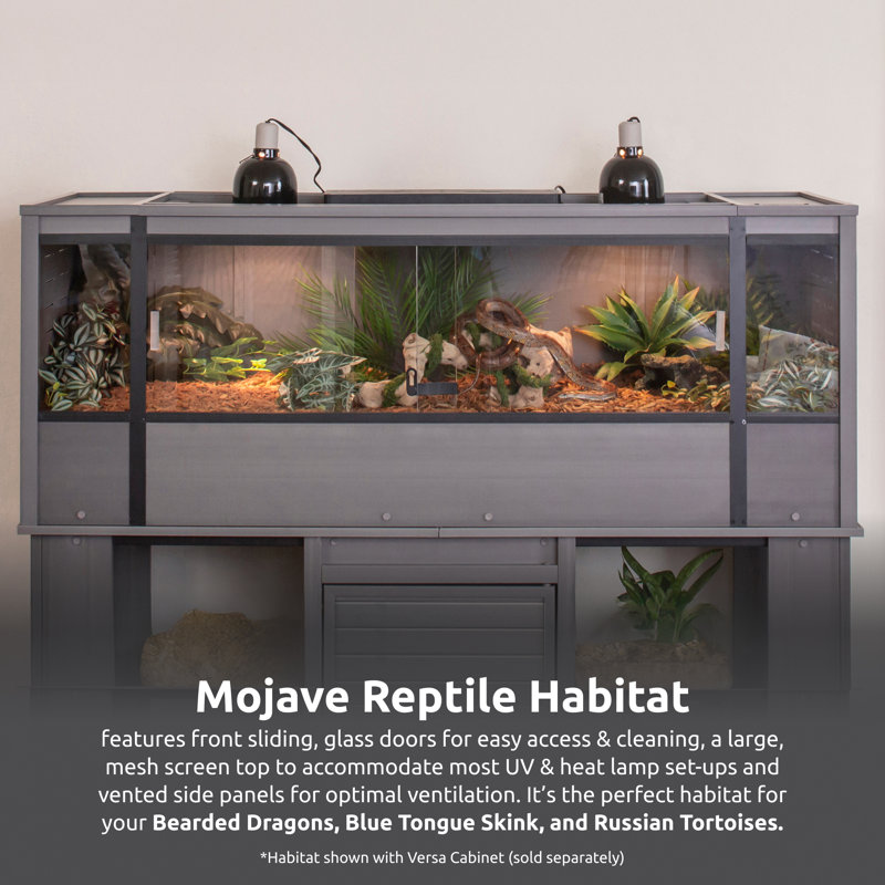 Très grand terrarium Deneishia, Gris, 112 gallons - H 22,8 po x l 60 po x P 24 po