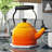 Le Creuset Enamel on Steel 1.25 Qt Demi Teakettle-9762648