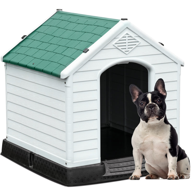 Niche pour chien Shelia, H 28 po x l 26 po x P 28,5 po, Vert / blanc / noir