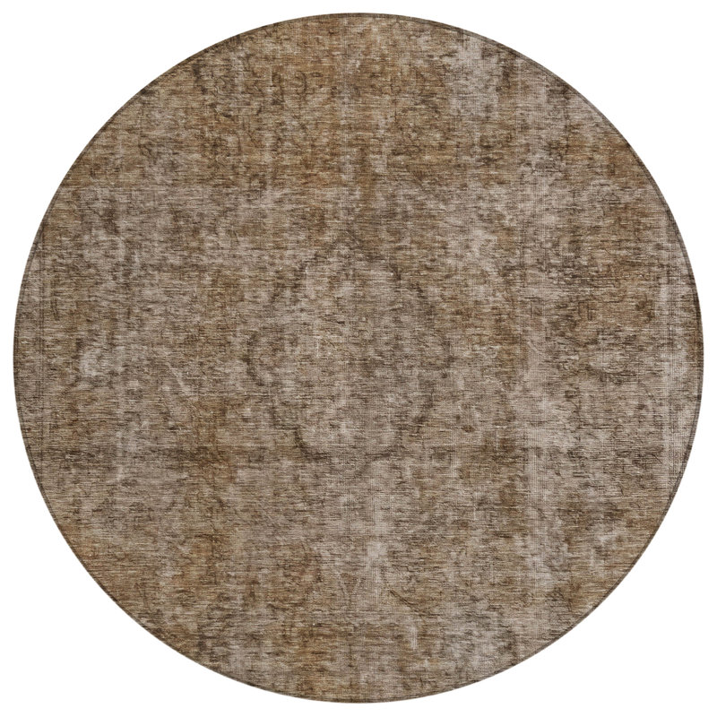 Emberith Brown Washable Indoor-Outdoor Rug - , 8' x 8'