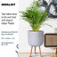 Geometric Patterned Cylinder Planter with Feet-350652352-350652354