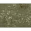 Floral Area Rug-588556134