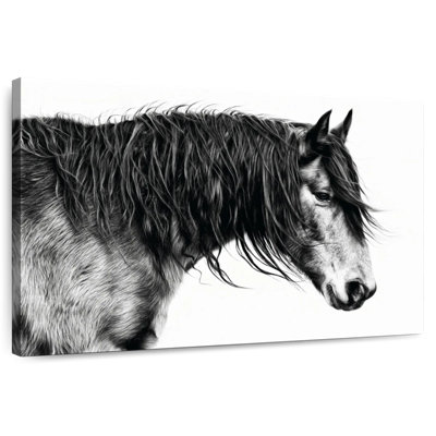 Portrait de cheval Brampt noir et blanc III