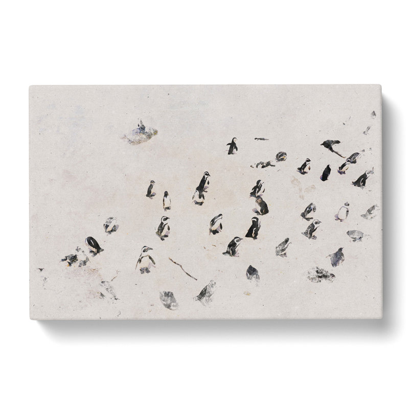 Penguin Beach - Wrapped Canvas, 50cm H x 76cm W x 3cm D