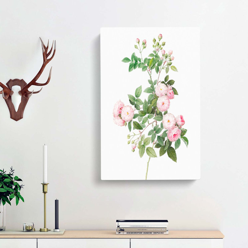 Baby Pink Roses by Pierre-Joseph Redoute - Wrapped Canvas, 76cm H x 50cm W x 3cm D