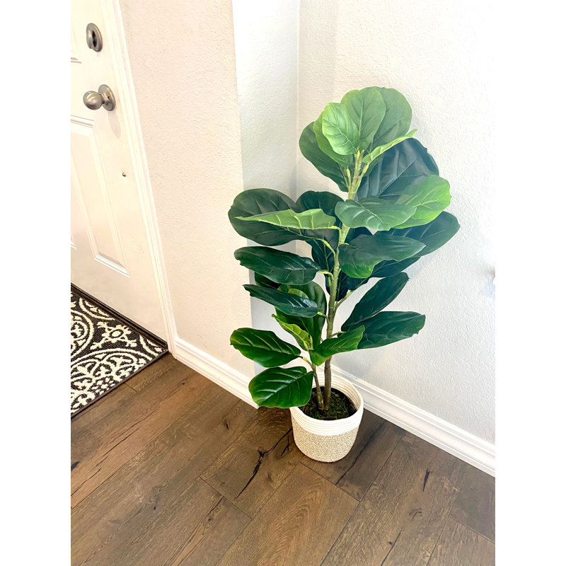 Faux Fiddle Leaf Fig Plant in Wicker/Rattan Planter