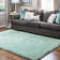 Indoor Rug