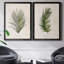 Palm Botanical I - ensemble de 2 impressions-1280204969-1211584034-1280204971