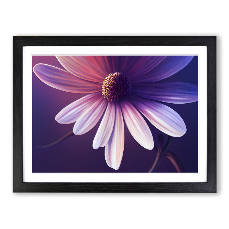XH1022-9673X Virtuous Daisy Flower - Single Picture Frame Print, Black, 46cm H x 64cm W