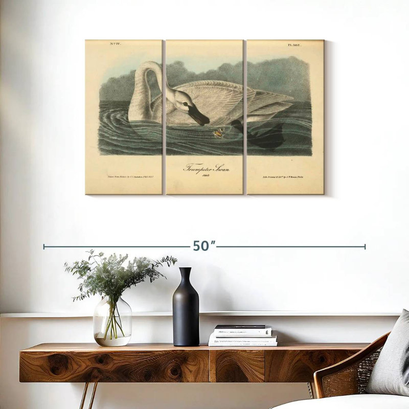 Brampt Trumpeter Swan, 24" H x 38" W