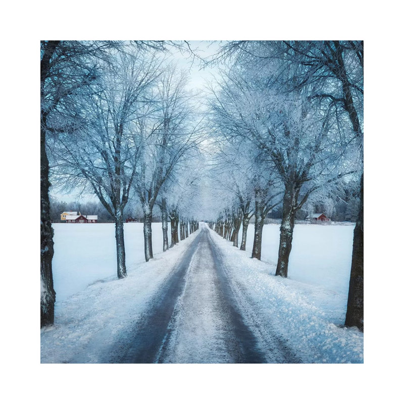 Swedish Winter by Christian Lindsten - Print on Canvas, 45.72cm H x 45.72cm W x 3.81cm D, Wrapped Canvas