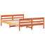 Albinca Solid Wood Bed-919799922-919799920