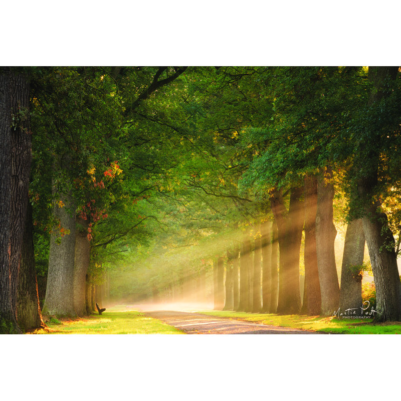 «Perfect Place to Sit» par Martin Podt - reproduction imprimée, H 24 po x l 36 po, Toile tendue