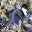 Landscape & Nature Crystal