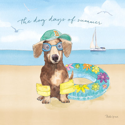 " Summer Paws III "
