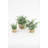  Artificial Eucalyptus Plants in Woven Pots – Decorative Faux Greenery, Set of Three