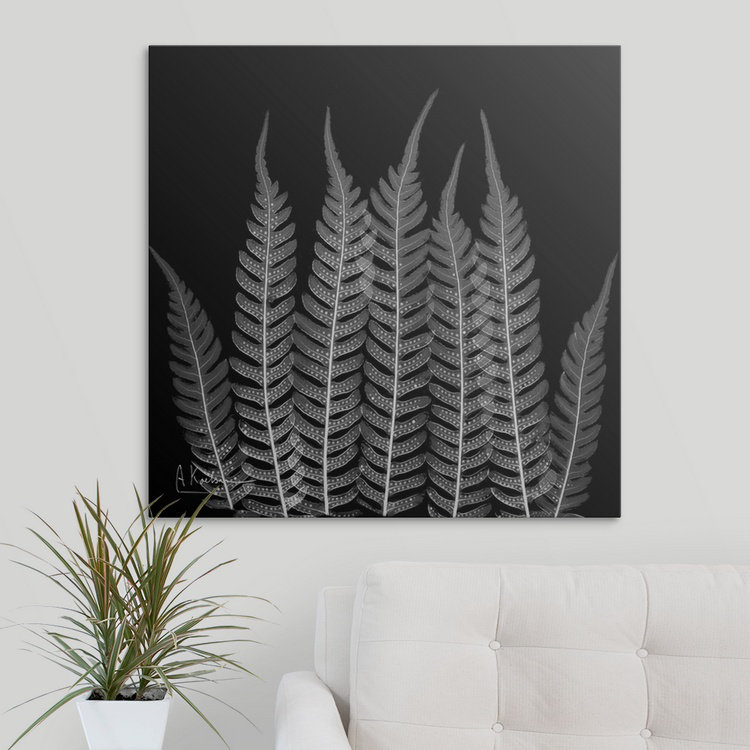 «Manigault» Fern Leaf X-Ray par Kiranjit, reproduction de photo, H 35 po x l 35 po x P 1,5 po, Toile