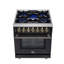 Massimo 30 in. Dual Fuel Range-116499866