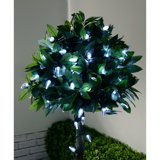 11cm LED Indoor / Outdoor String Lights