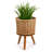 Sheena Glass Elevated Planter