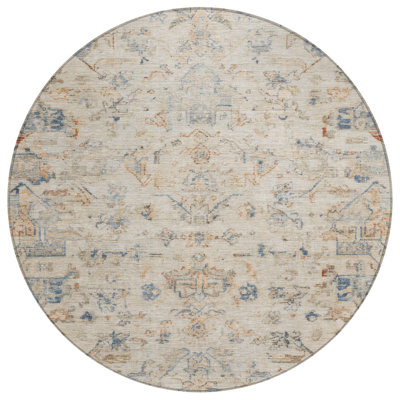 Machine Washable Indoor/Outdoor Chantille ACN2322 Global Rug
