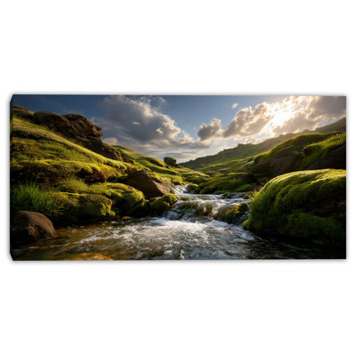 Mossy Stream Path Wrapped Canvas Wall Art