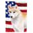 Beige Siberian Husky