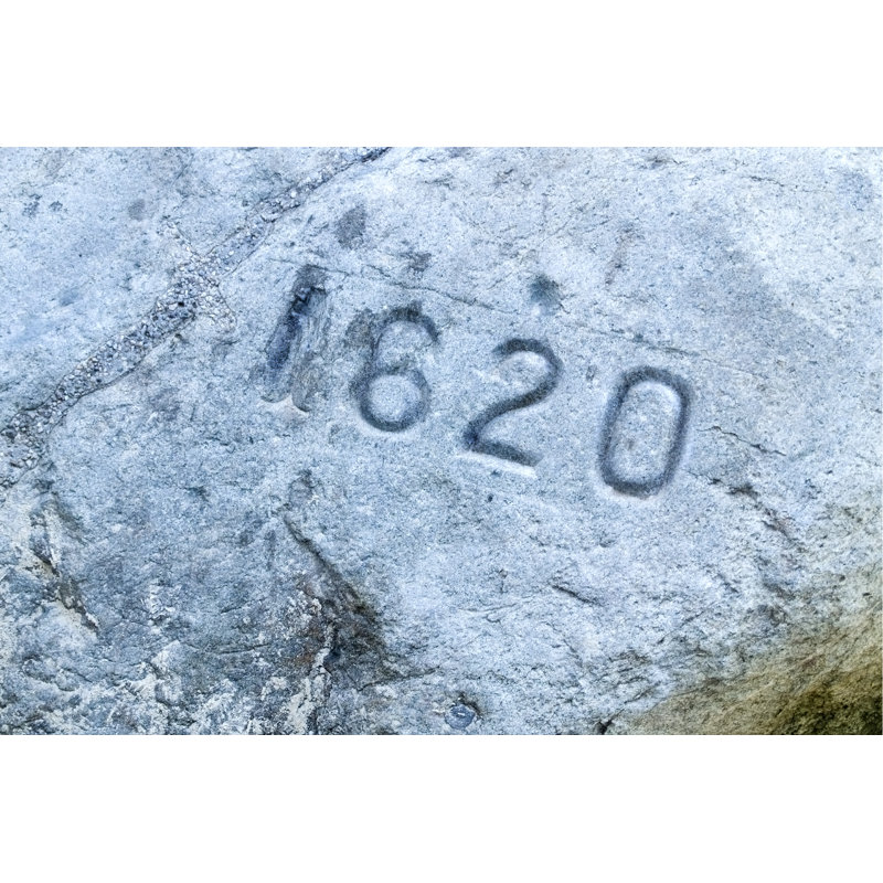 Plymouth Rock Gros plan par Suchan - photographie sur toile tendue, H 8 po x l 12 po
