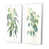 Toile tendue