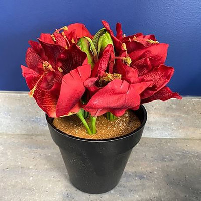 Silk Amaryllis Arrangement in Pot
