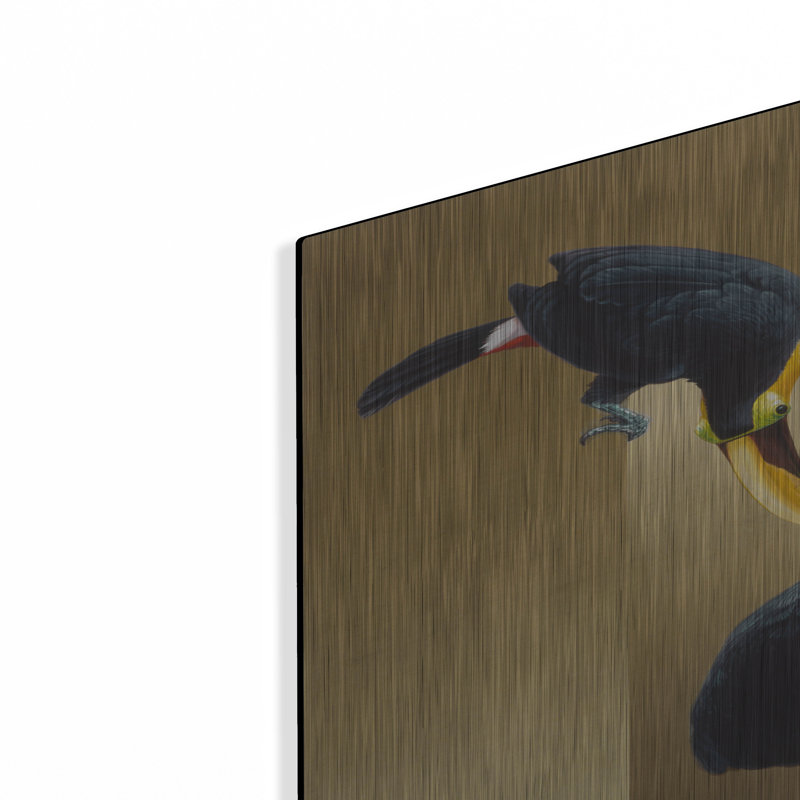 Luxe Toucans «Chestnut-Mandibled Toucans» par Har, H 36 po x l 24 po