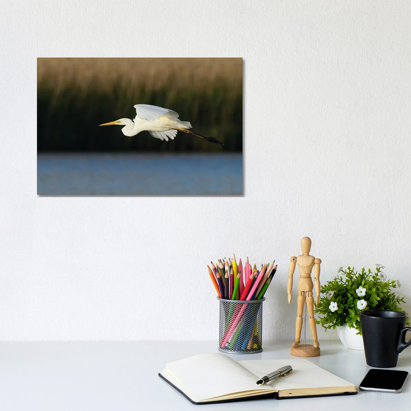 «Great Egret» par Elmar Weiss - Photographie sur toile tendue, H 8 po x l 12 po x P 0,75 po