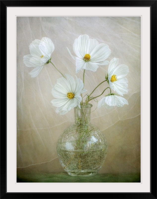 «Cosmos Breeze» par Mandy Disher, Straub, reproduction d'art, H 36 po x l 27 po x P 1,5 po, Toile