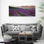 Lavender Field - Wrapped Canvas Print