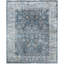 Oriental Area Rug-1699608386