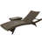 Lisbeth Outdoor Chaise Lounge with Table-269379396