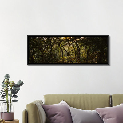 Coucher de soleil sur une forêt, monteverde cloud forest, costa rica-reproduction de photo sur toile tendue