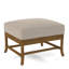 Lafayette Ottoman-49840896-61955290