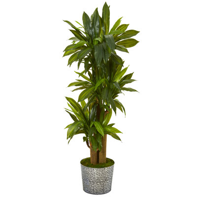 58'' Faux Dracaena Plant in Metal Planter