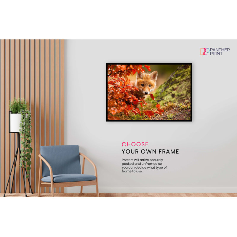 Brown Baby Fox In Wildlife - No Frame Print, 91cm H x 61cm W