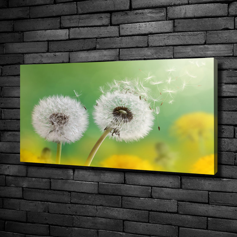 Dandelions - No Frame Print on Glass, Canvas, 50cm H x 100cm W x 2cm D