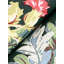 Briarwood Floral Matte Wallpaper Double Roll-1787003434