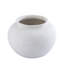Vase de table Alisme