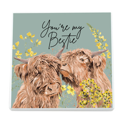 Zialan Animals Box Signs & Plaques