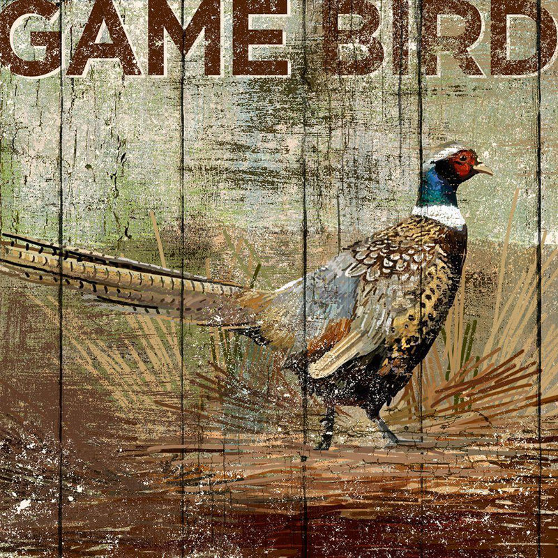 Art sur toile tendue Rosalind Wheeler Studio Licensing Studio Gallery: Open Season Pheasant