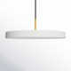 Ivan Single Light Metal Dimmable LED Pendant